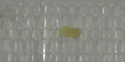经编机织物缺陷在线检测系统 4