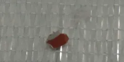 经编机织物缺陷在线检测系统 5