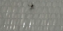 经编机织物缺陷在线检测系统 6